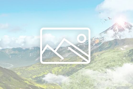 【申报通知】关于推荐2026年文化和旅游部部级社科研究项目的通知_通知公告_科研处----永利23411集团